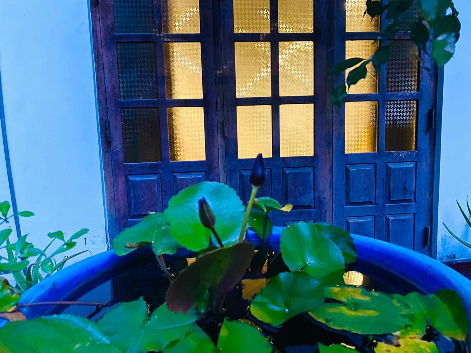 Sachi'S Place Tangalle Extérieur photo